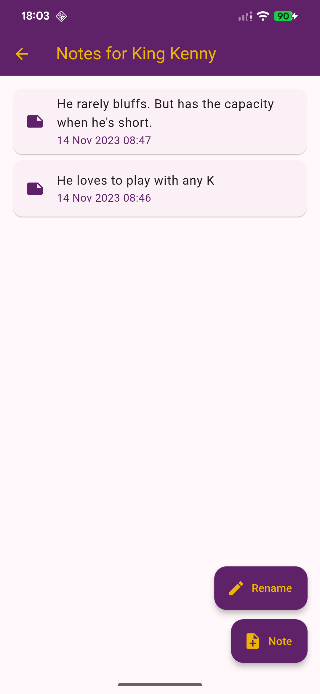 Player Notes screenshot